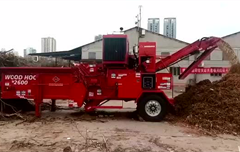 珠海市 臺(tái)風(fēng)災(zāi)后清理