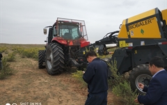 2019年，內(nèi)蒙奈吉牧草有限公司，采購一臺(tái)Anderson檸條平茬機(jī)